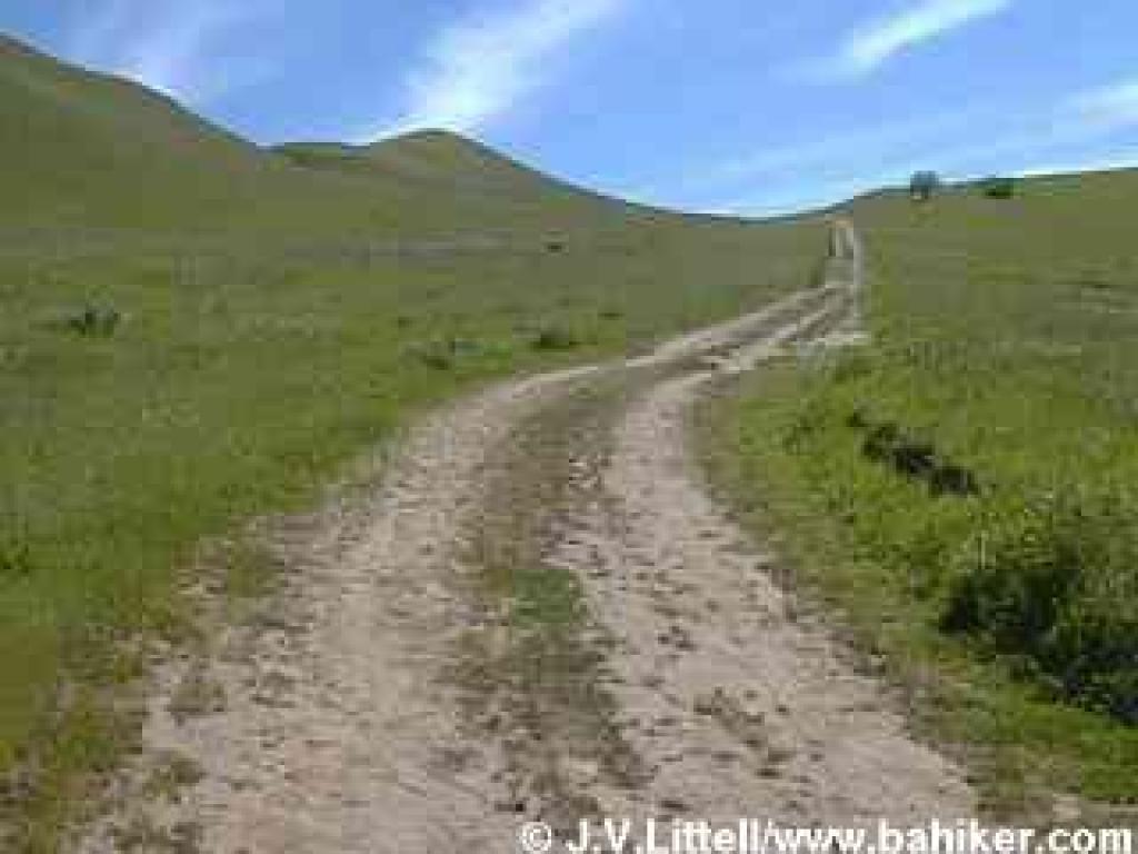 Stewartville Trail