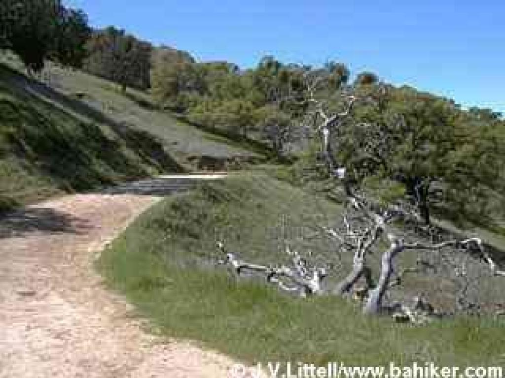 Ridge Trail