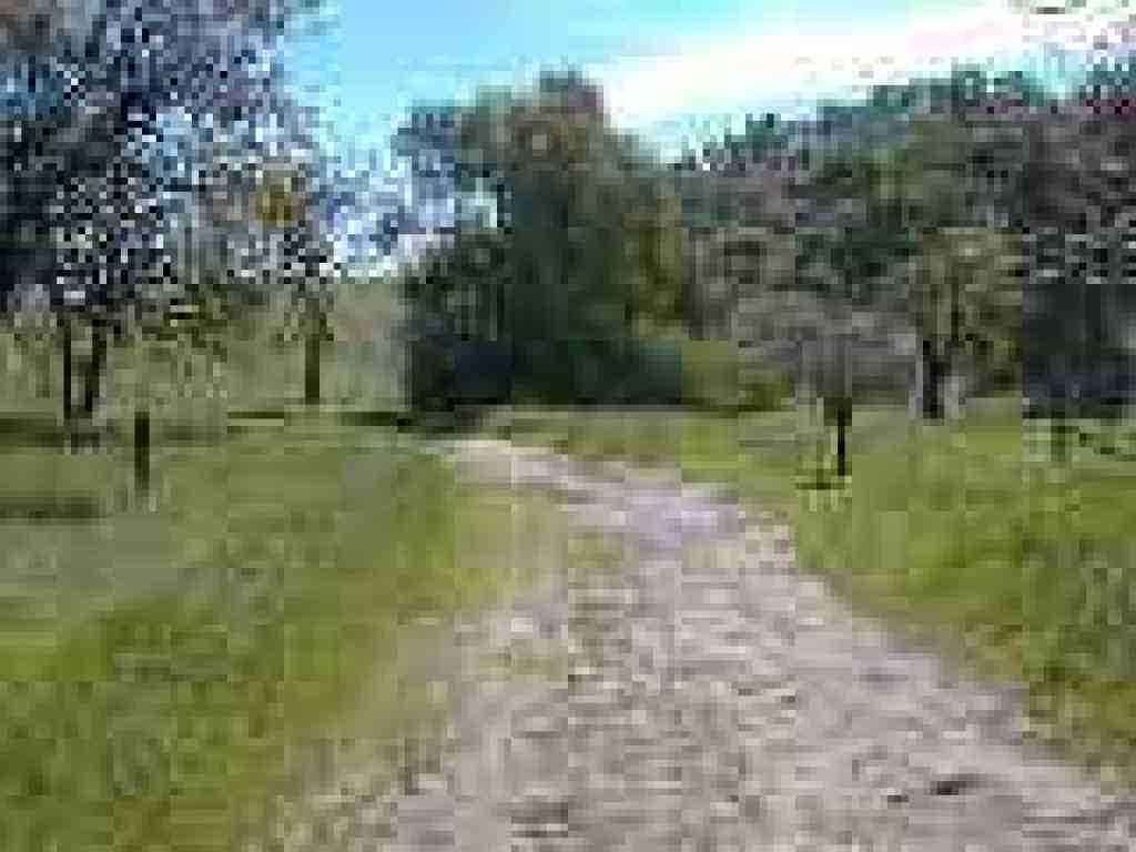 Stewartville Trail