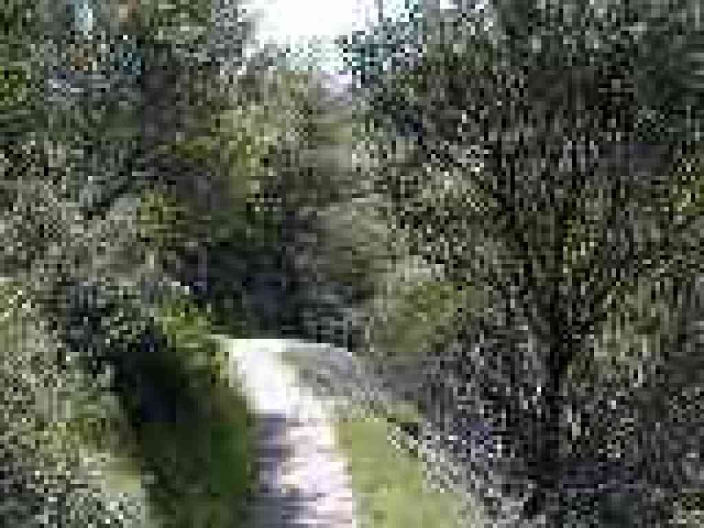 Chaparral Loop Trail