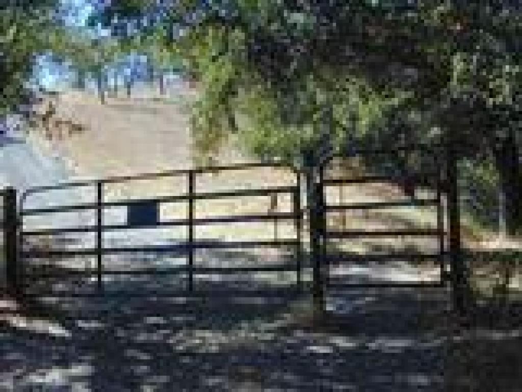 Cattle gate and junction