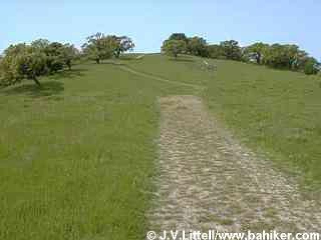Grayfox Trail