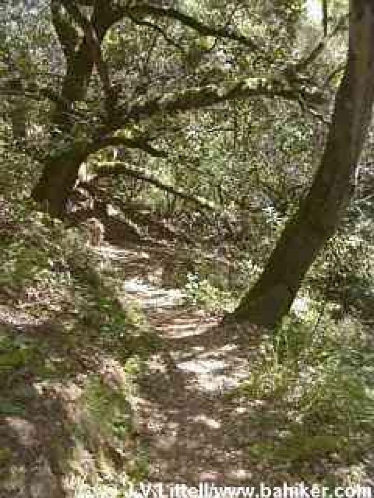 Buckeye Trail
