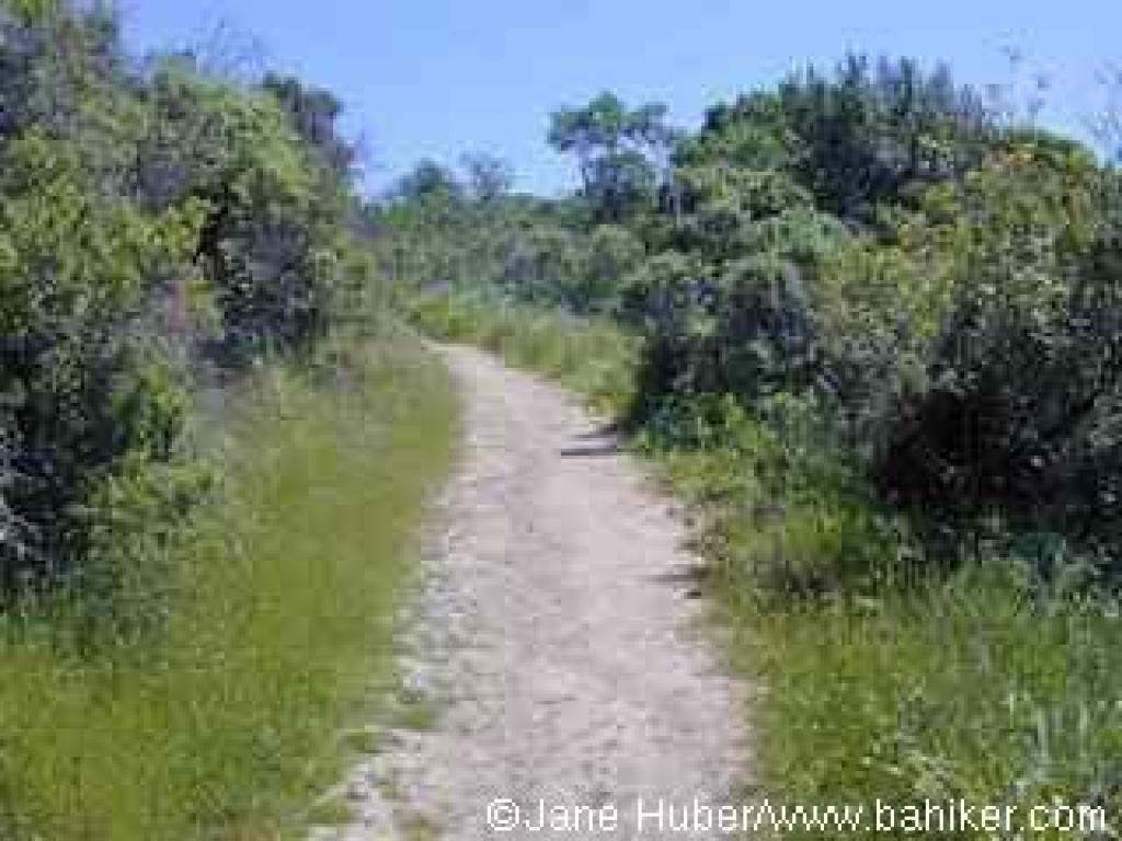 Returning to the trailhead
