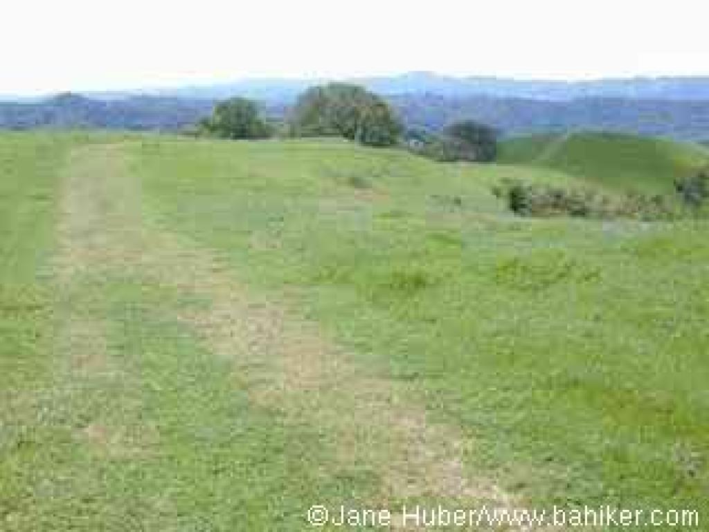 Black Oak Trail