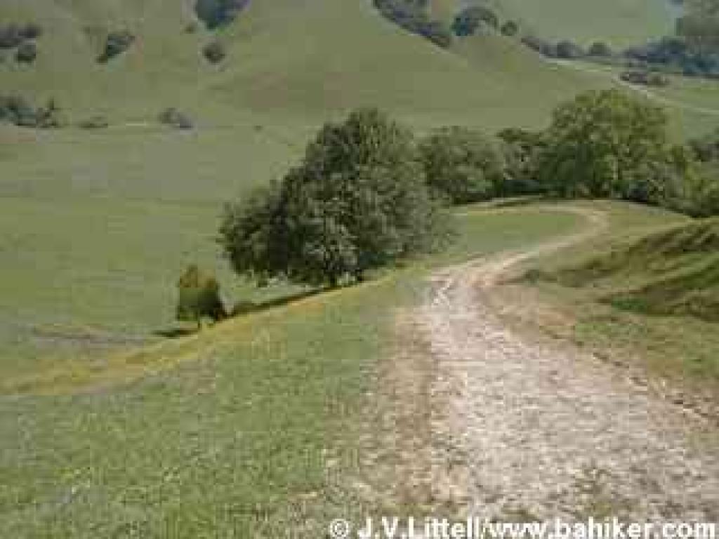 Black Oak Trail