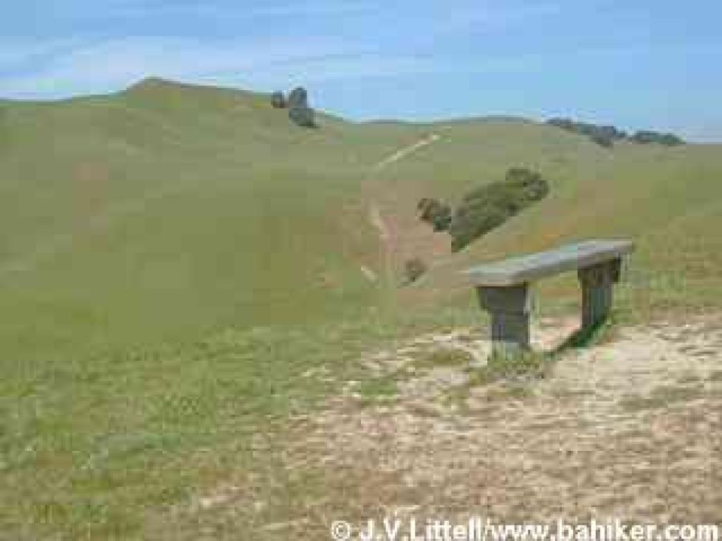 Bench at the crest