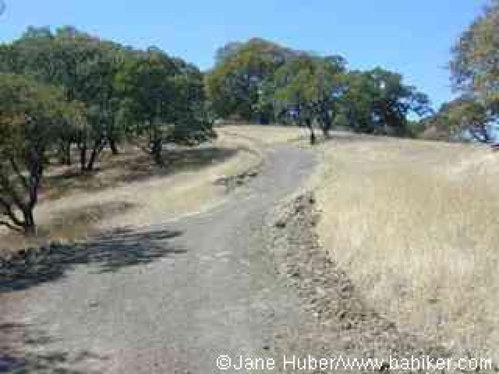 Rankin Park Trail