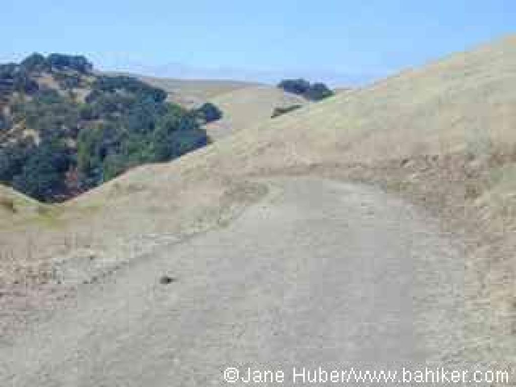 Franklin Ridge Loop Trail