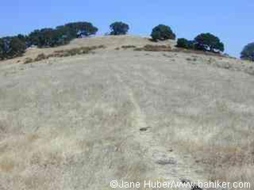 Path to hilltop bench