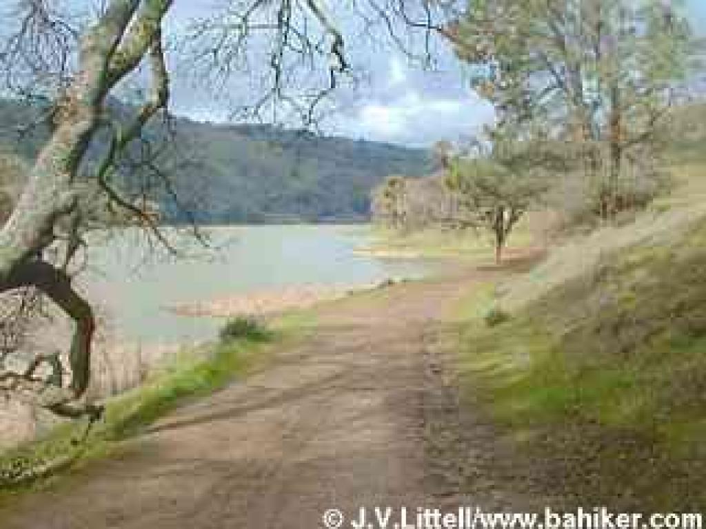 Photo of East Shore Trail, Del Valle Regional Park