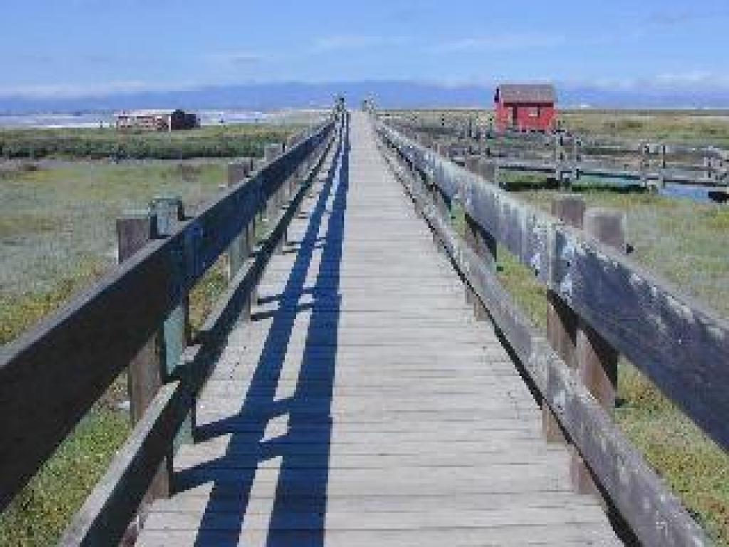 Boardwalk