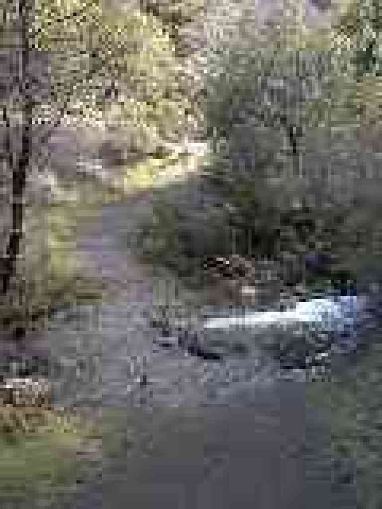 Crossing Donner Creek
