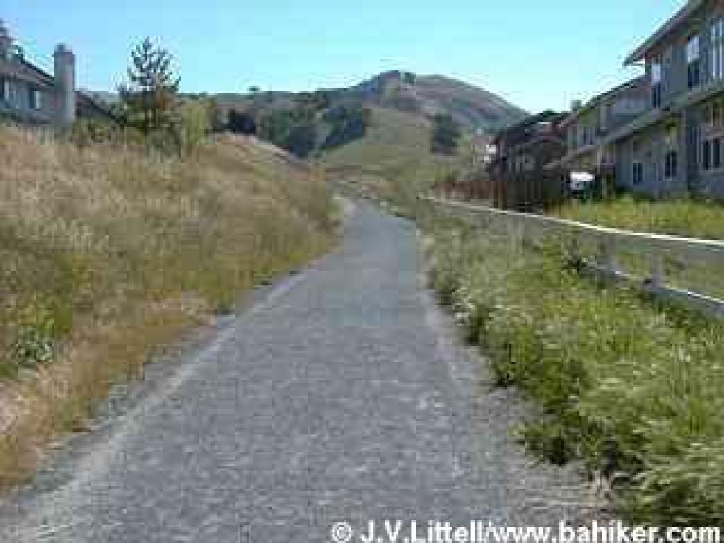 Path past houses