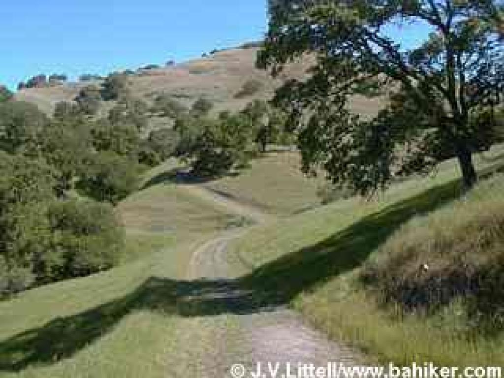 Alamo Trail
