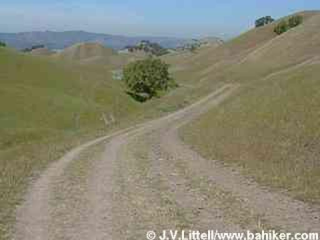 Briones to Mount Diablo Trail