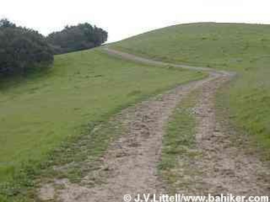 High Ridge Loop Trail