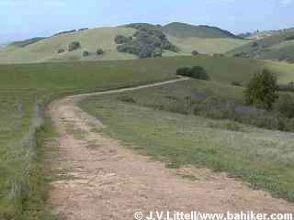 Descending on High Ridge Loop Trail