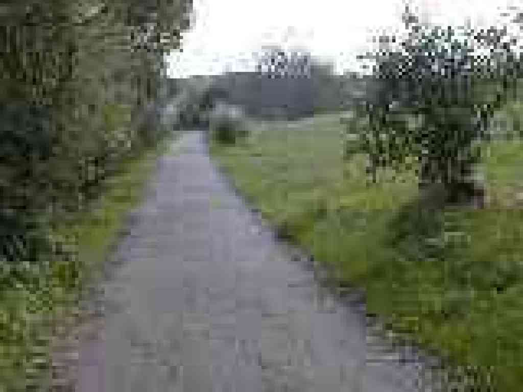 Old Homestread Trail