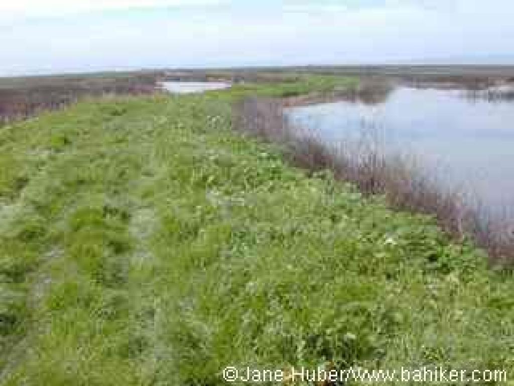 One of the unnamed levee trails