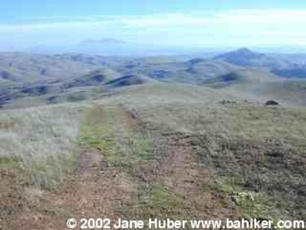 View southeast on the return from the hilltop