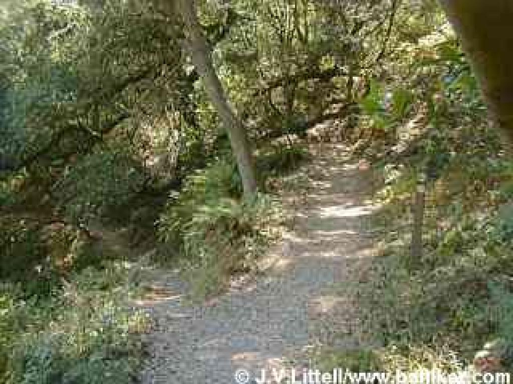 Loop Trail splits