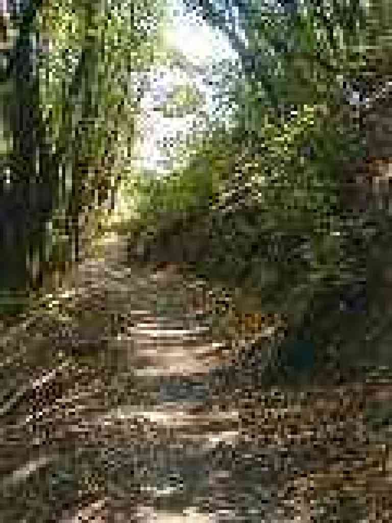 Huckleberry Path