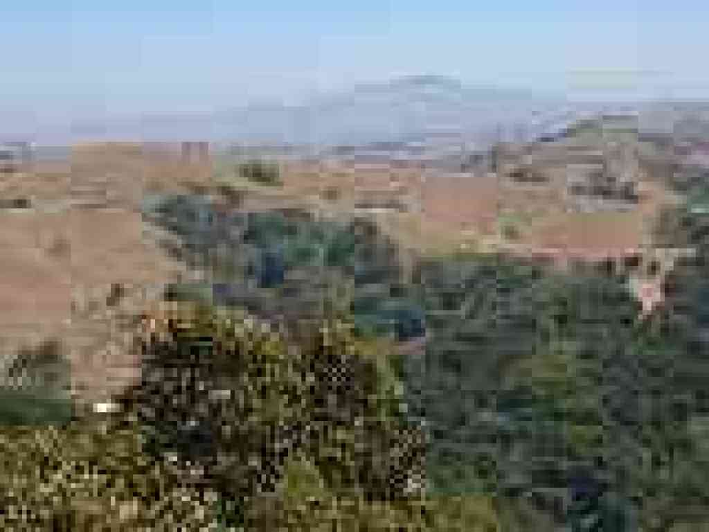 View to Mount Diablo