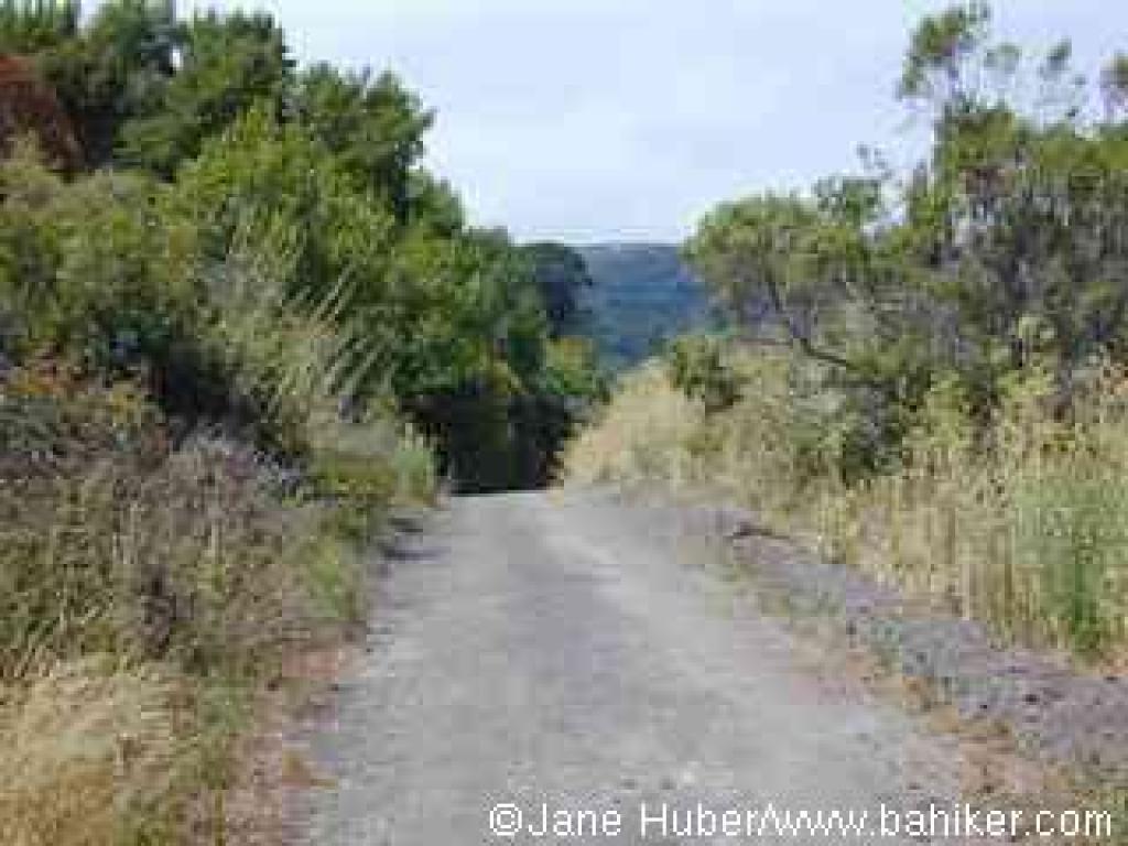 Kennedy Creek Trail
