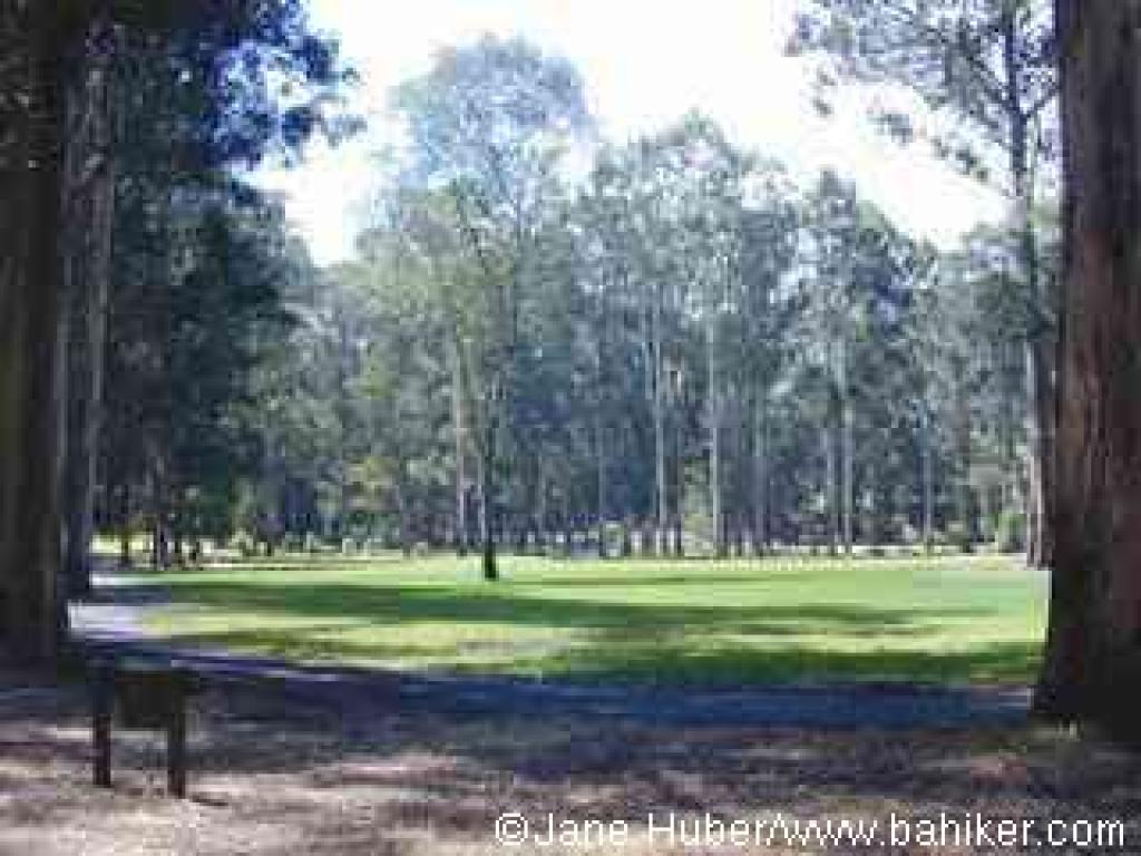 Lawn area