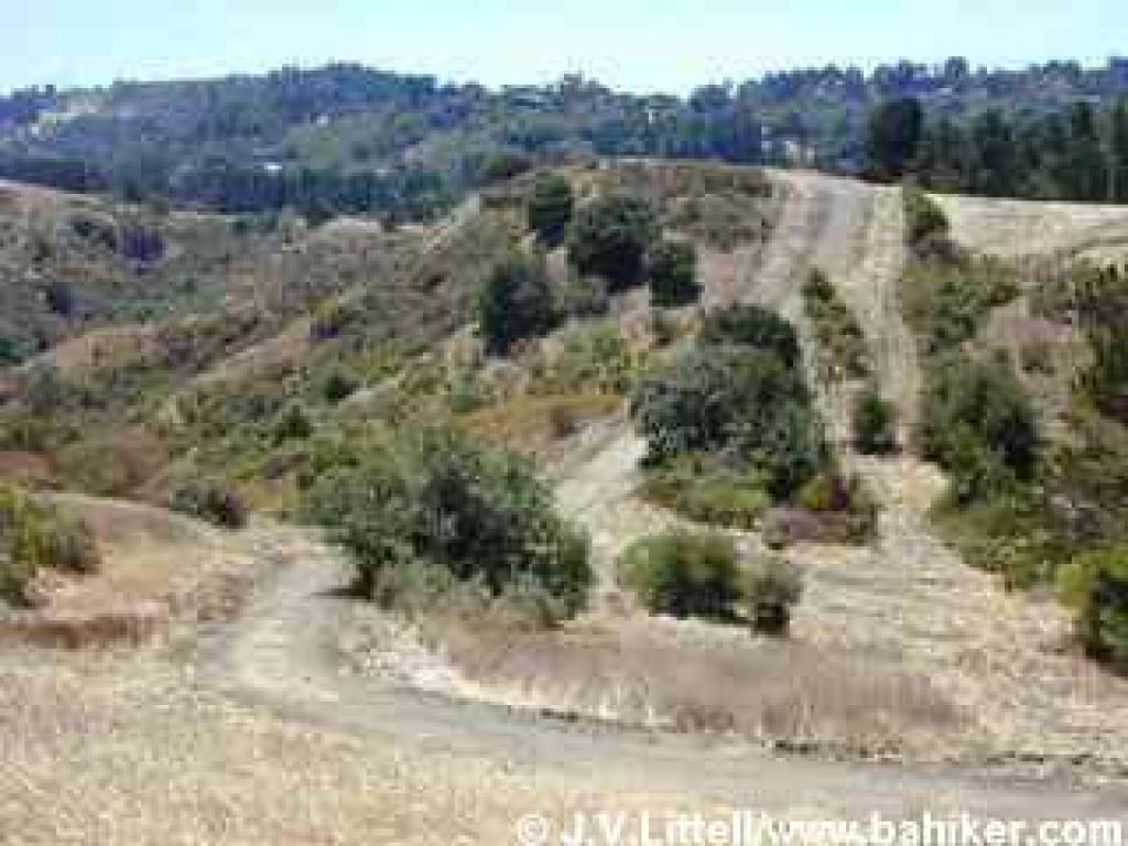 Rim Trail
