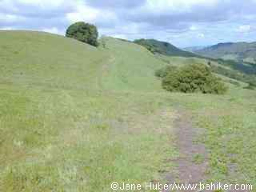 Upper Trail