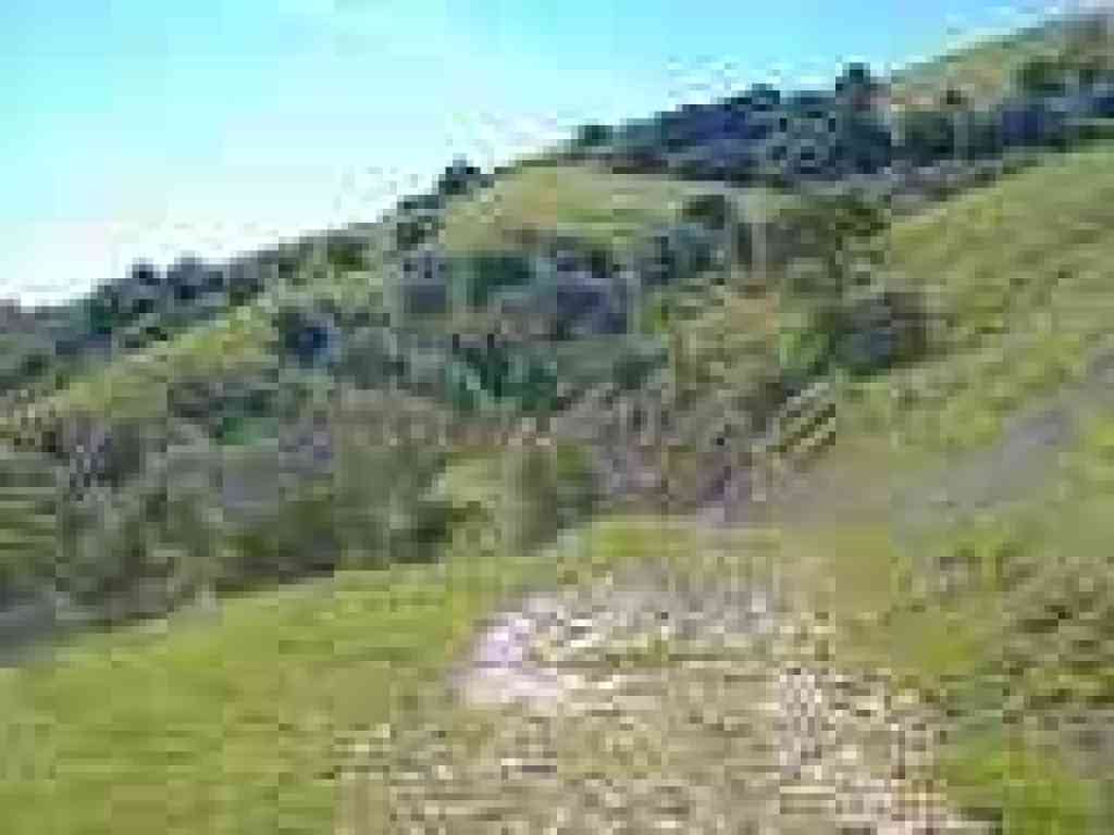 Elderberry Trail