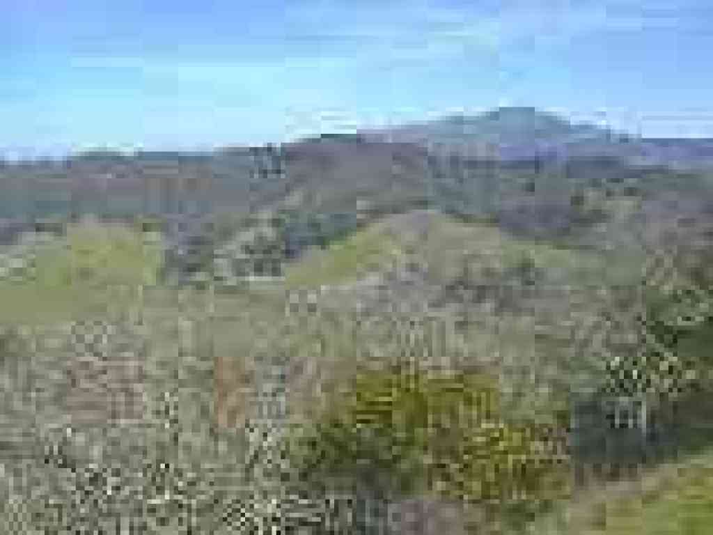 View to Mount Diablo