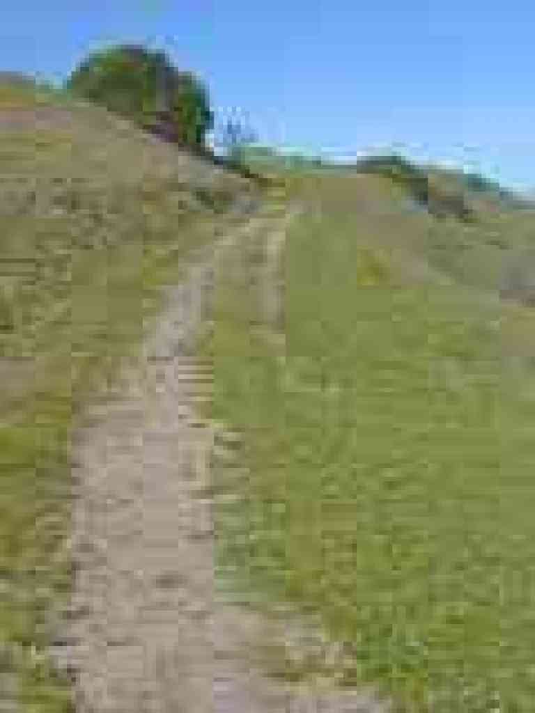 Upper Trail