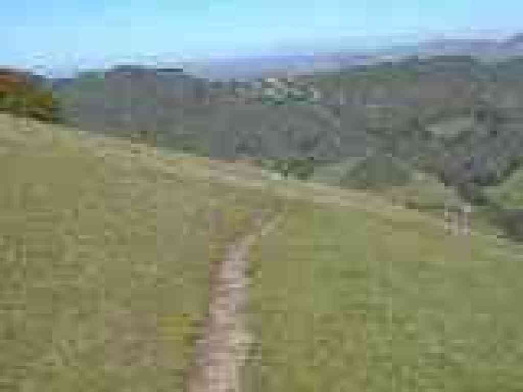 Cuesta Trail