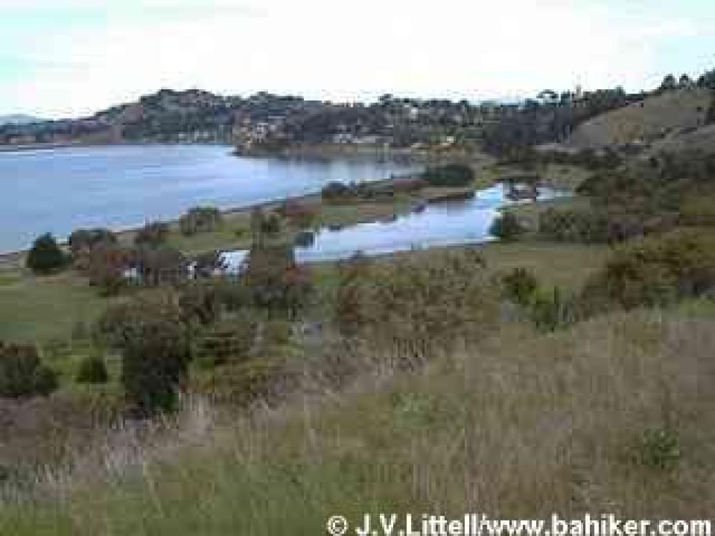 From a hillside, the lagoon area of the park is visible
