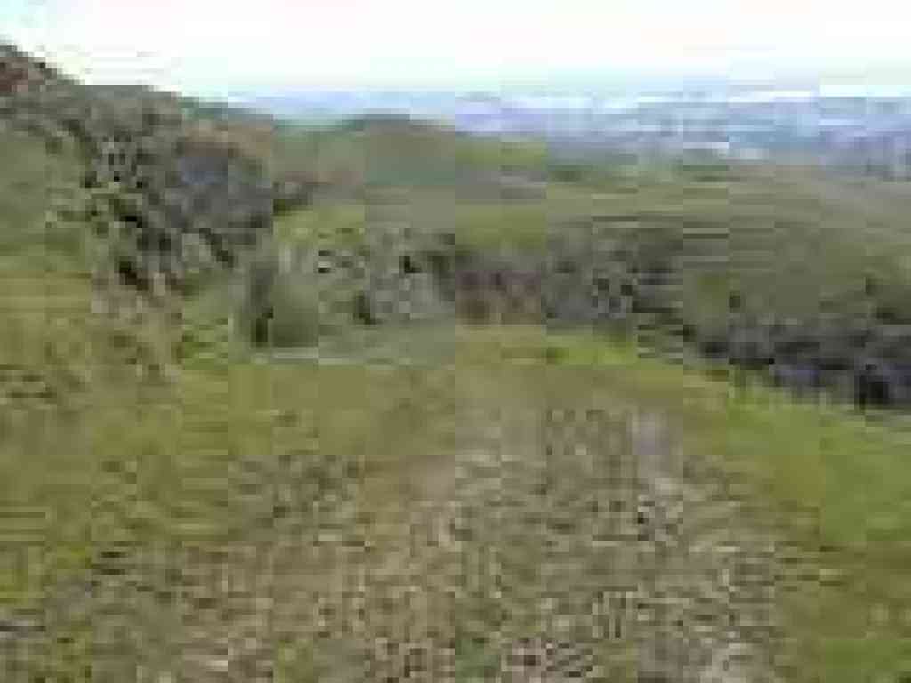 Peak Meadow Trail