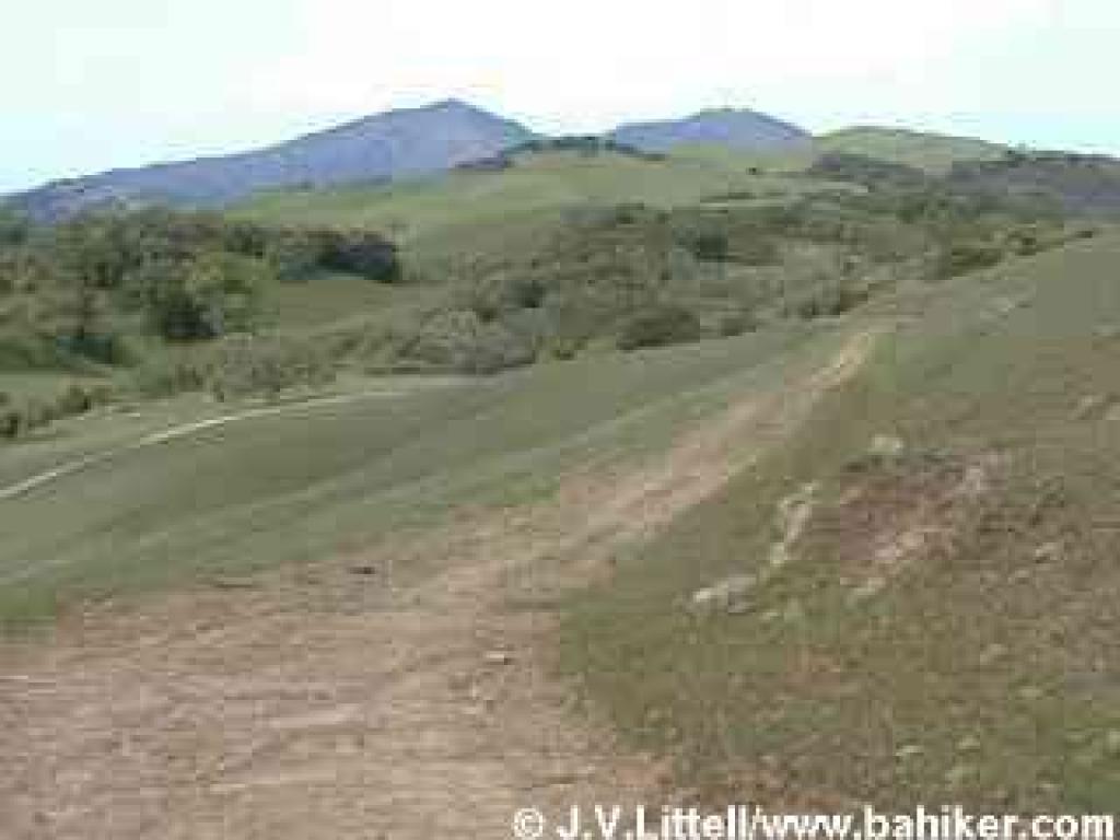 Volvon Trail and a view of Mount Diablo