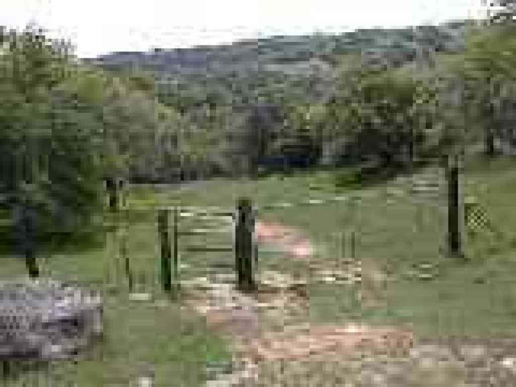 Cattle gate
