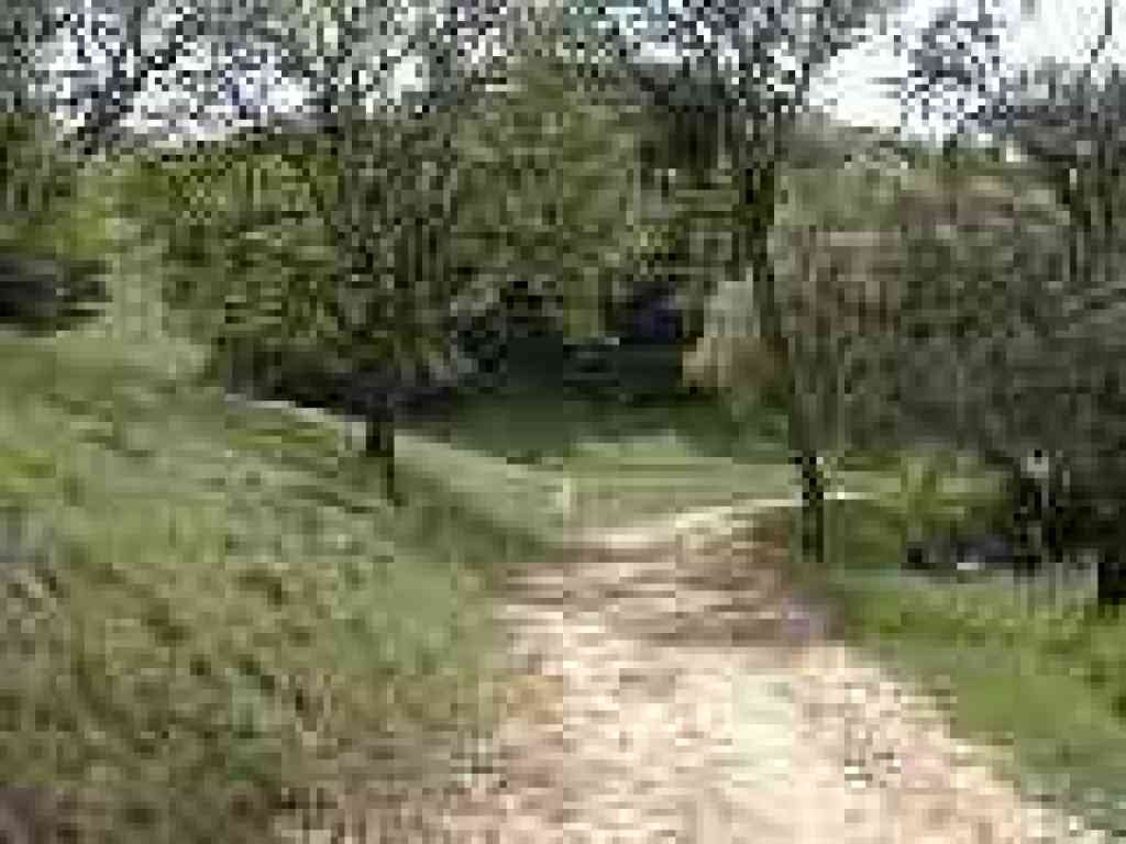 Stone Corral Trail