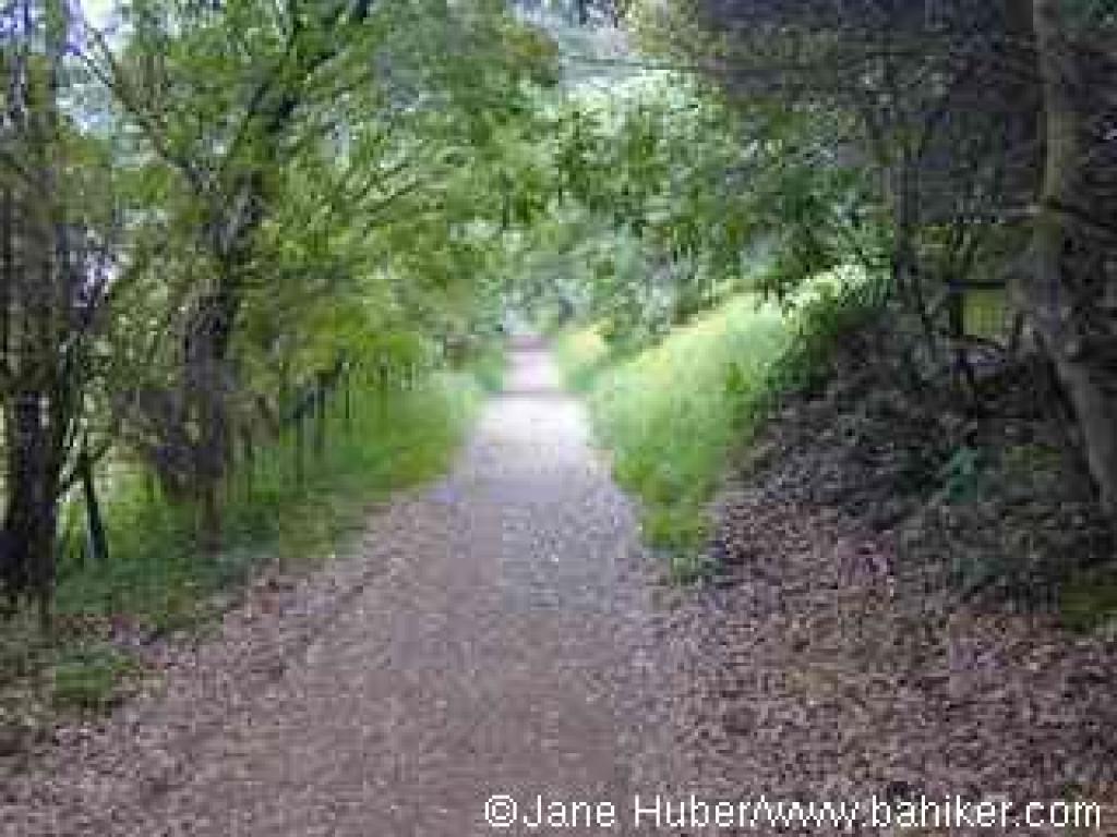 Ascending on an unnamed fire road