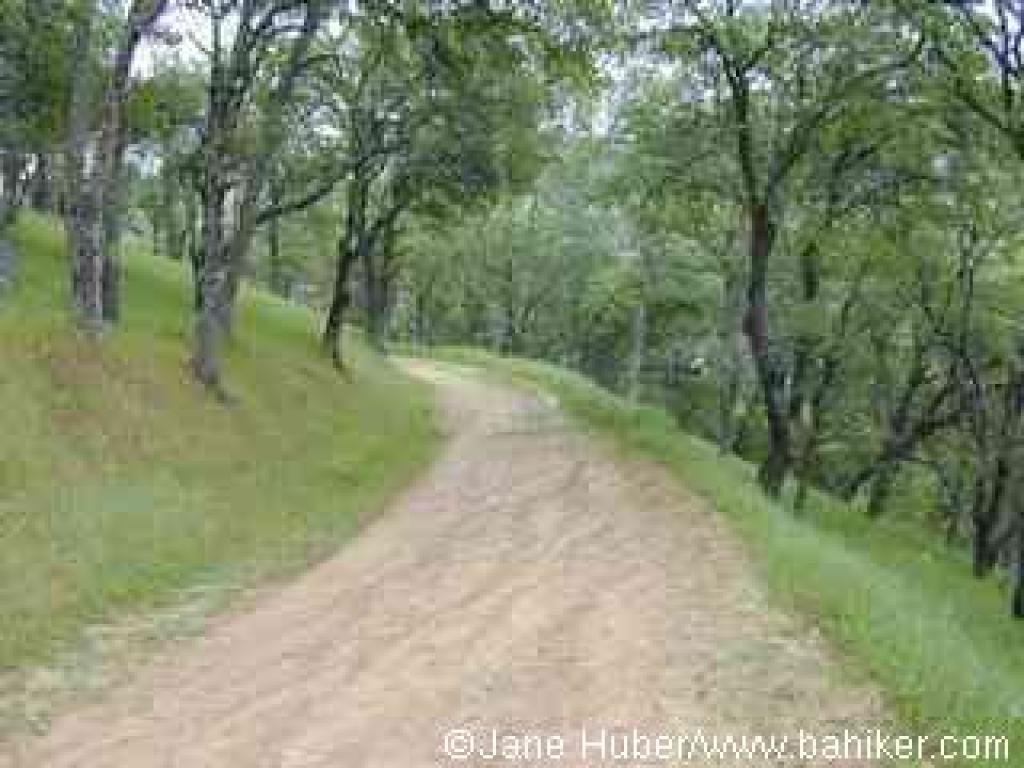 Returning to the trailhead