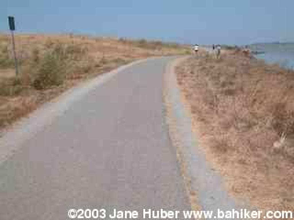 Paved path along shoreline