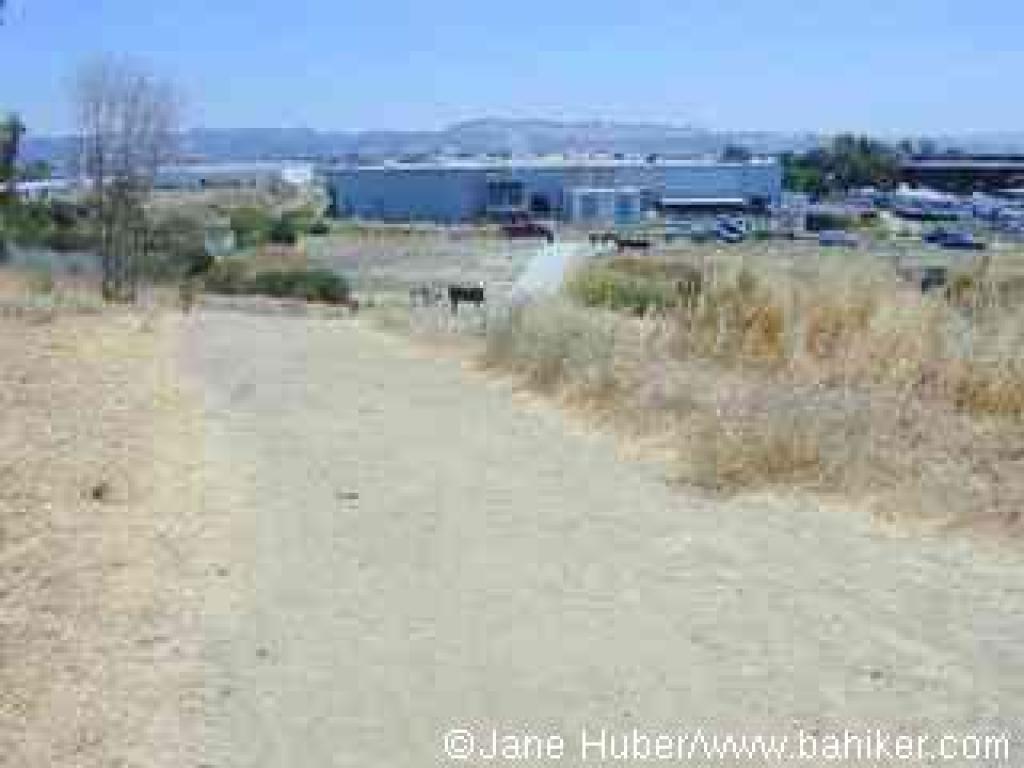 Returning to the trailhead