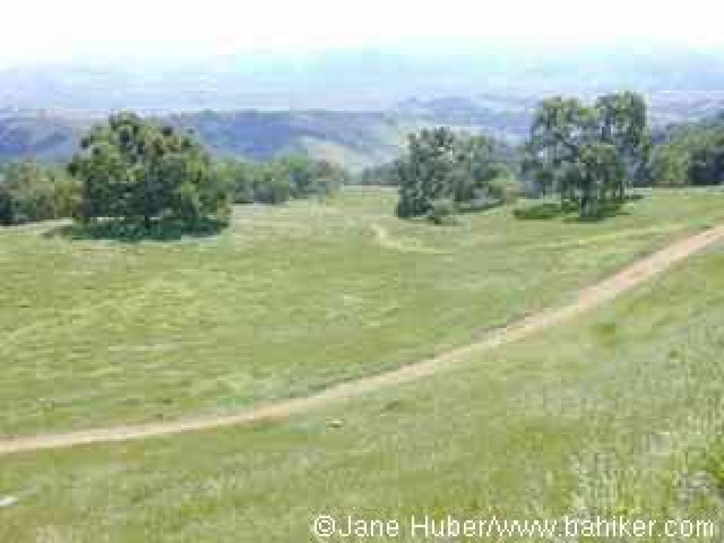 View to Woodland Trail, from Oak Tree Trail