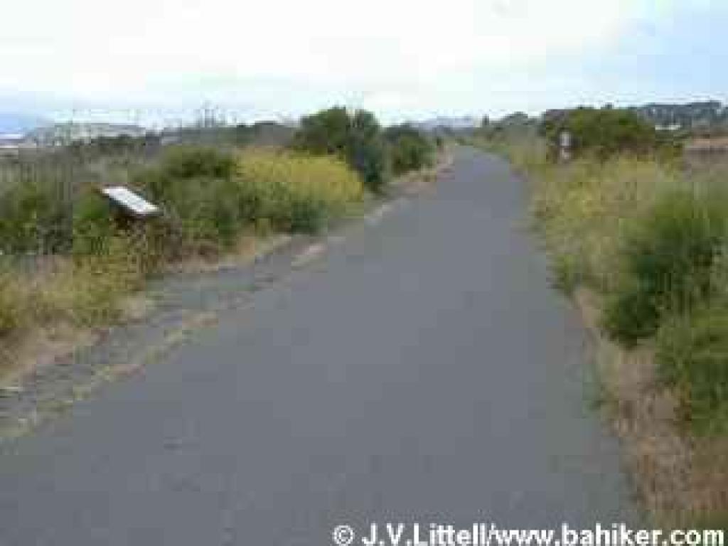 Bay Trail