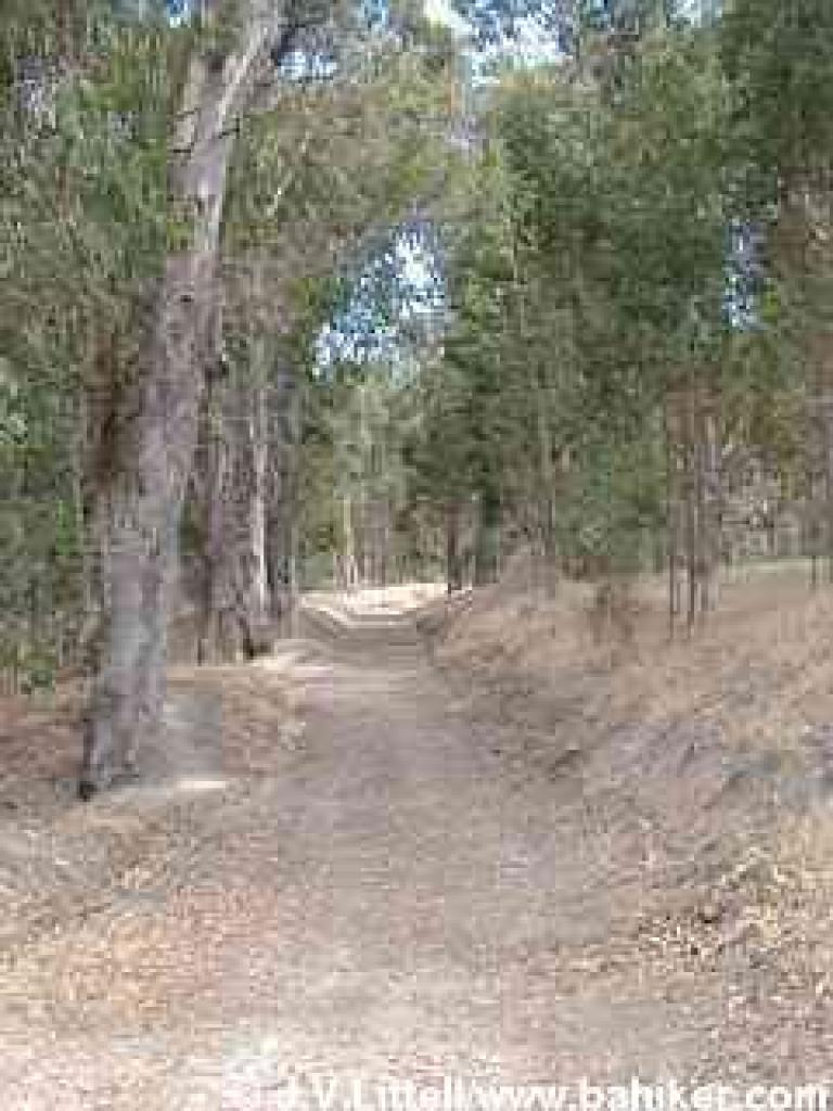 Bay View Trail