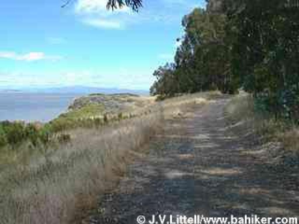 Along the bluffs on Bay View Trail
