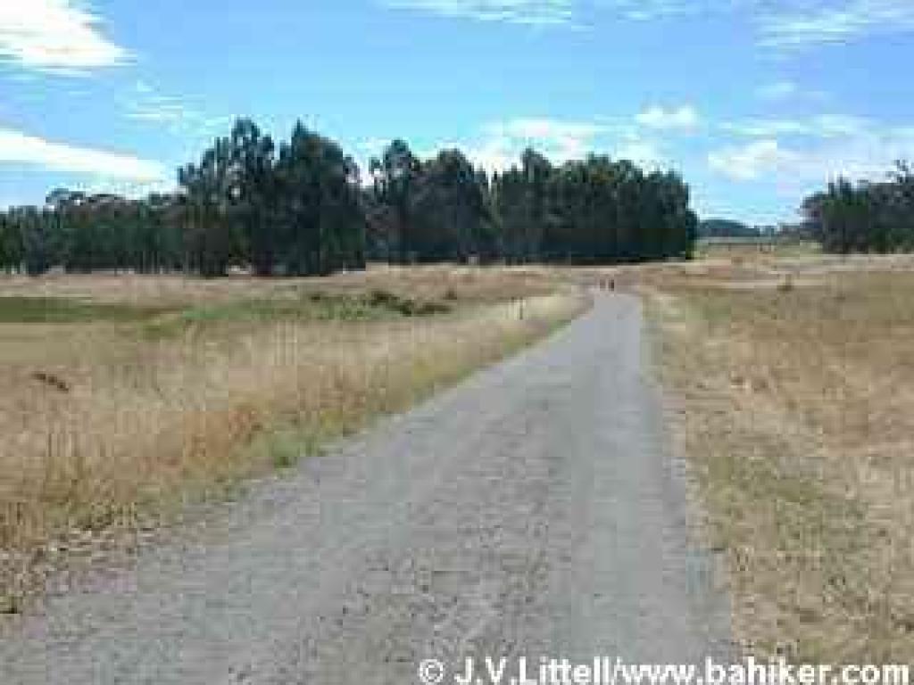 Marsh Trail